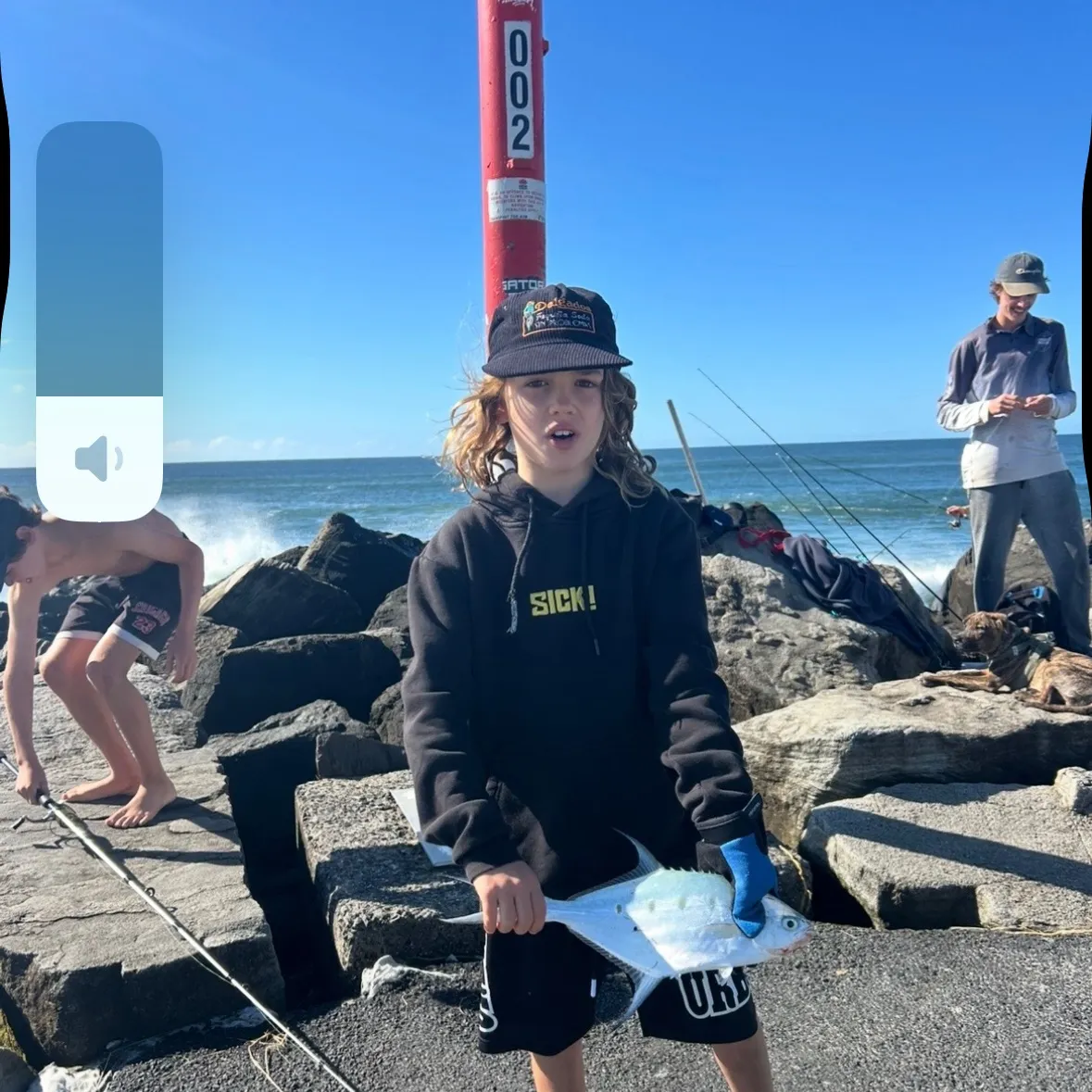 The most recent Largespotted dart catches on Fishbrain