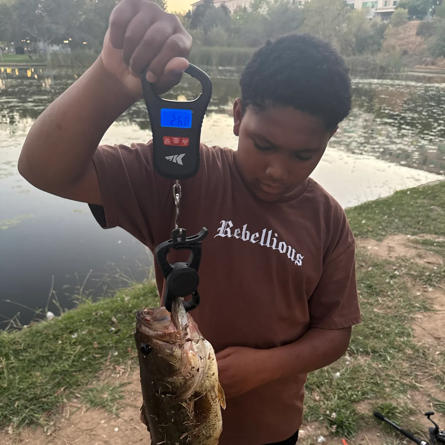 Largemouth bass caught on Fishbrain