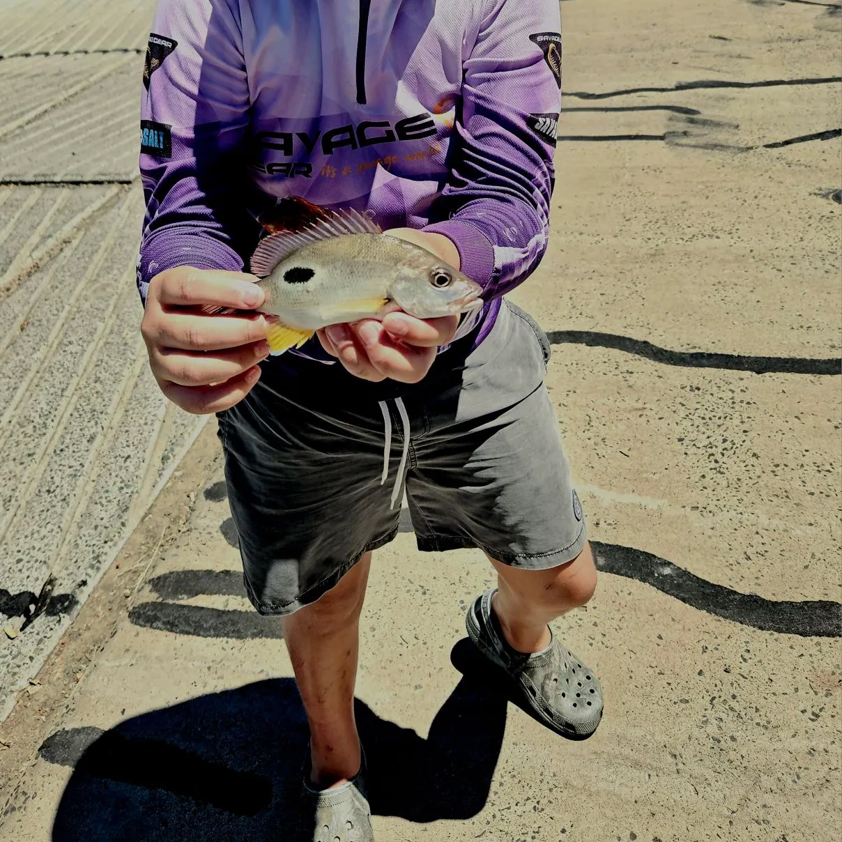 The most recent Moses perch catches on Fishbrain