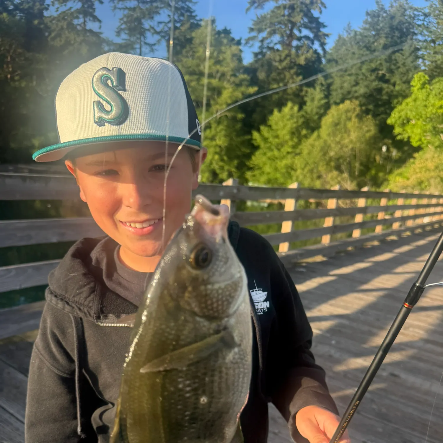 The most recent Pile perch catches on Fishbrain