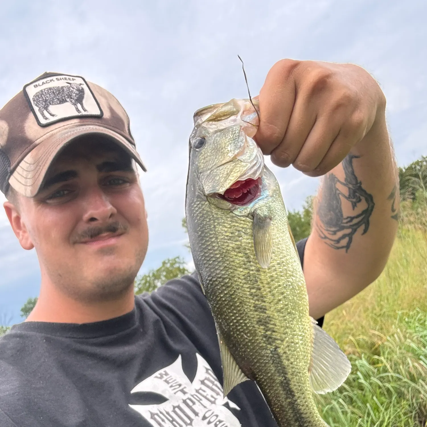Largemouth bass caught on Fishbrain