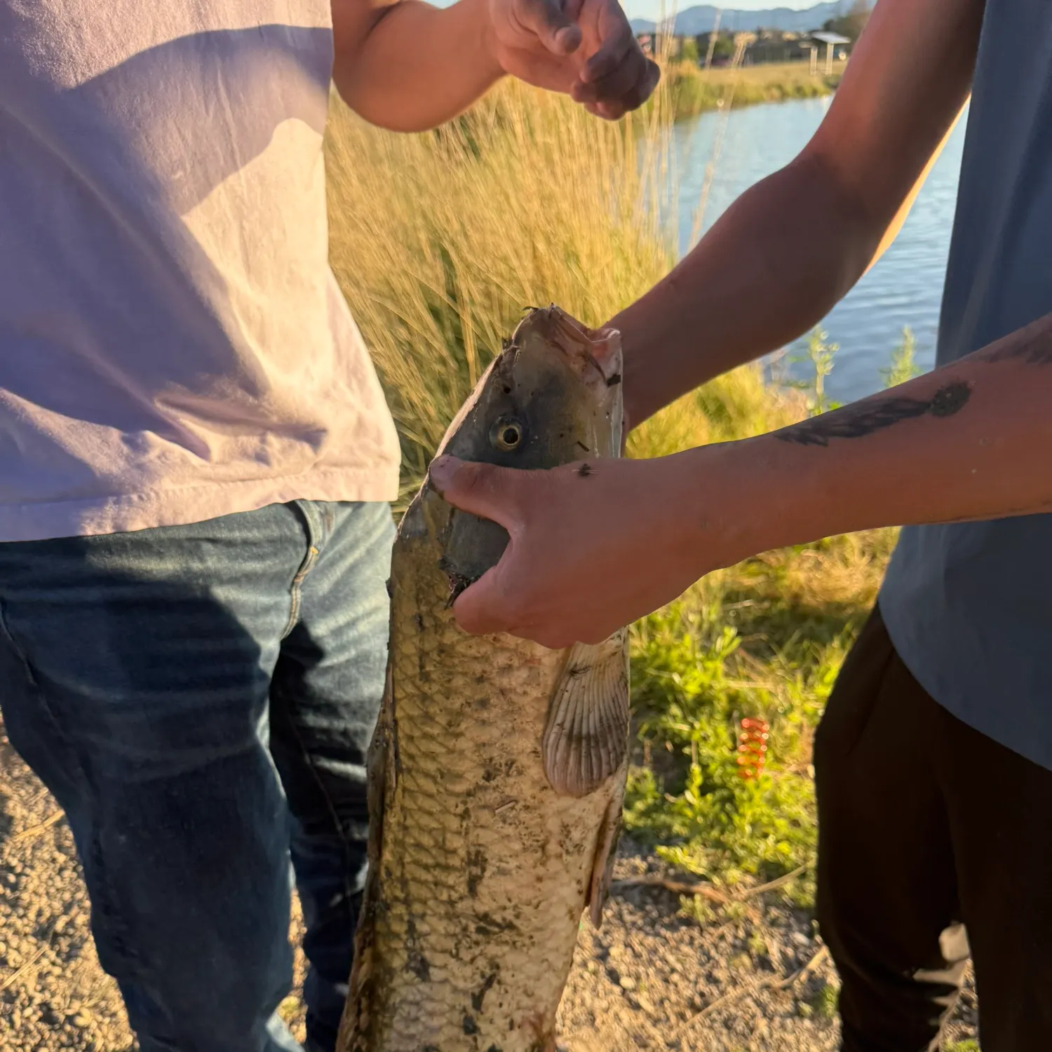 catch