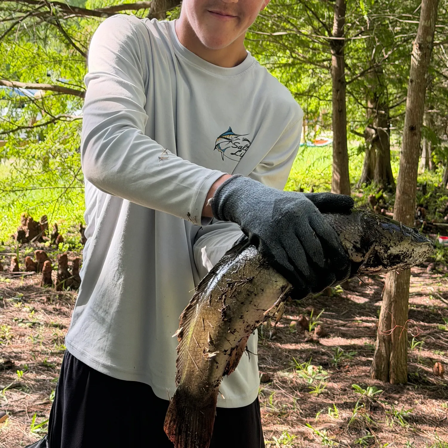 Ruddy bowfin caught on Fishbrain
