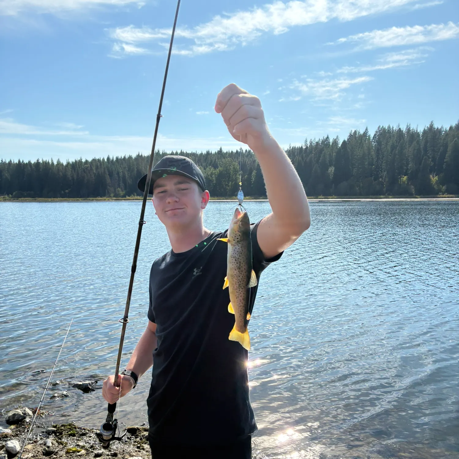 Brown trout caught on Fishbrain