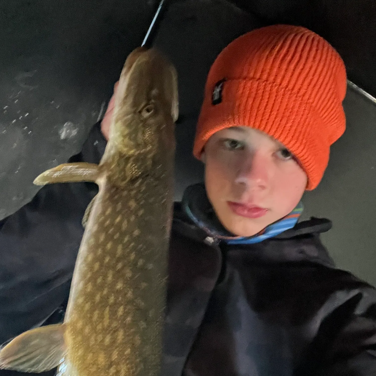 The most recent Northern pike catches on Fishbrain