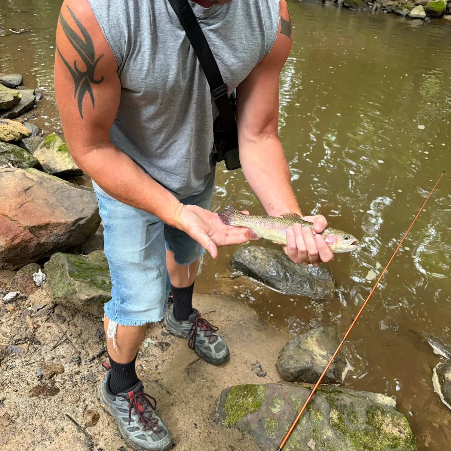 Rainbow trout caught on Fishbrain