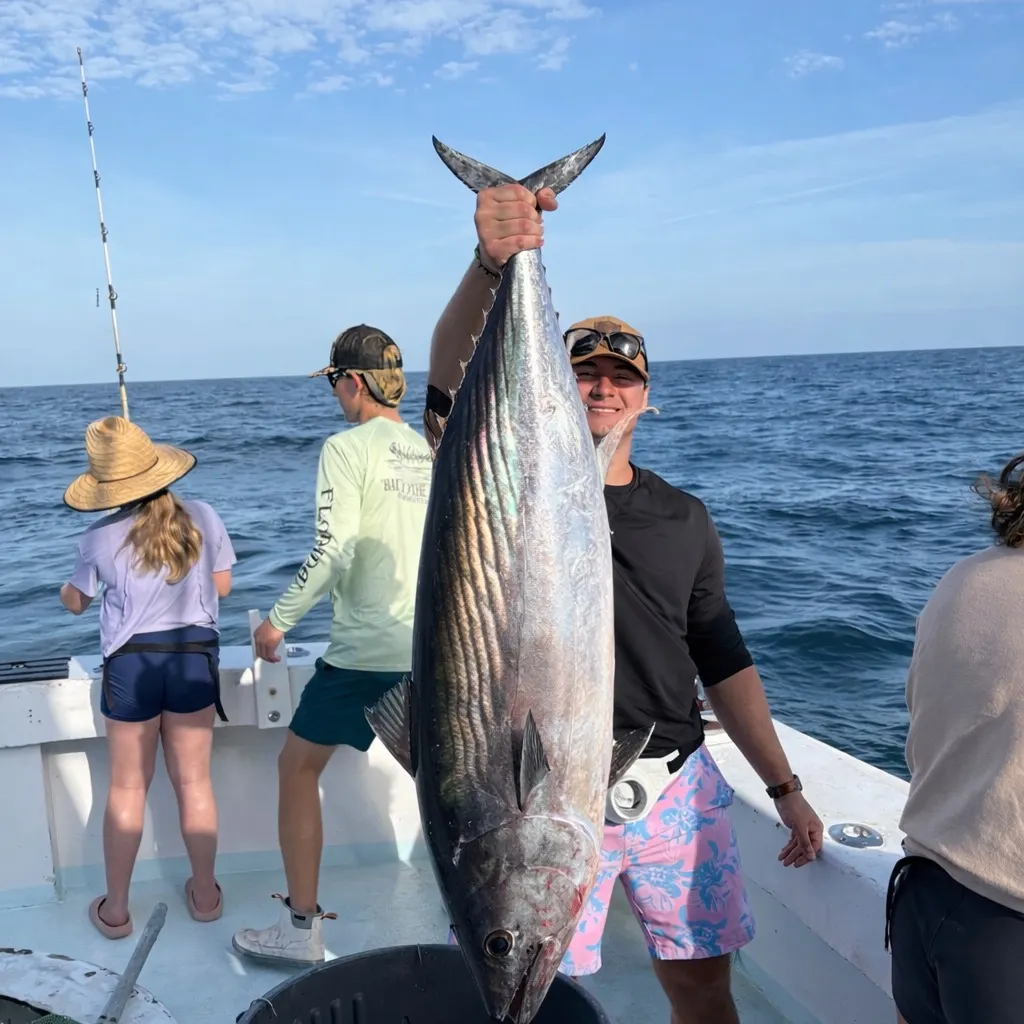 The most recent Atlantic bluefin tuna catches on Fishbrain