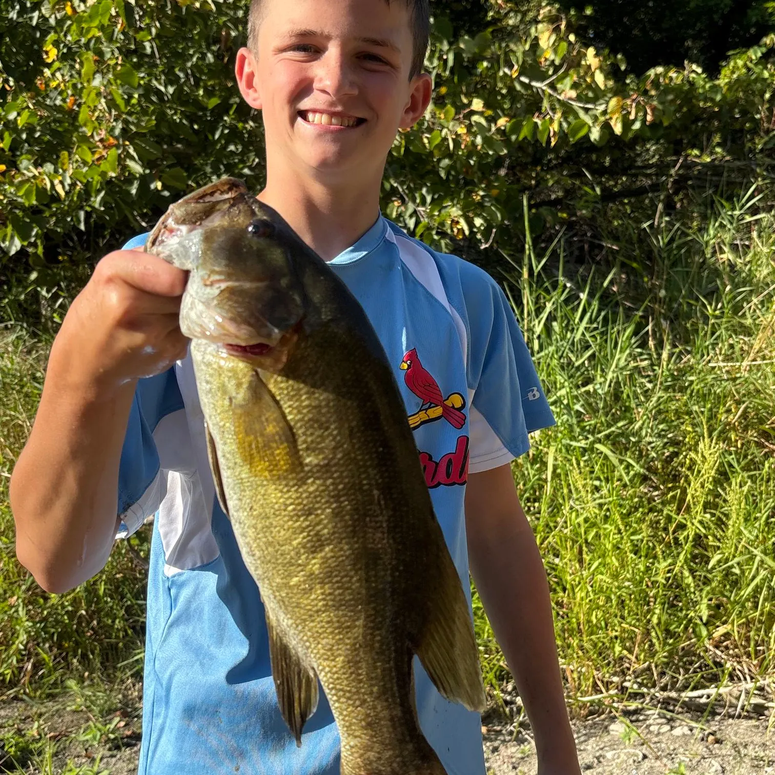 Smallmouth bass caught on Fishbrain