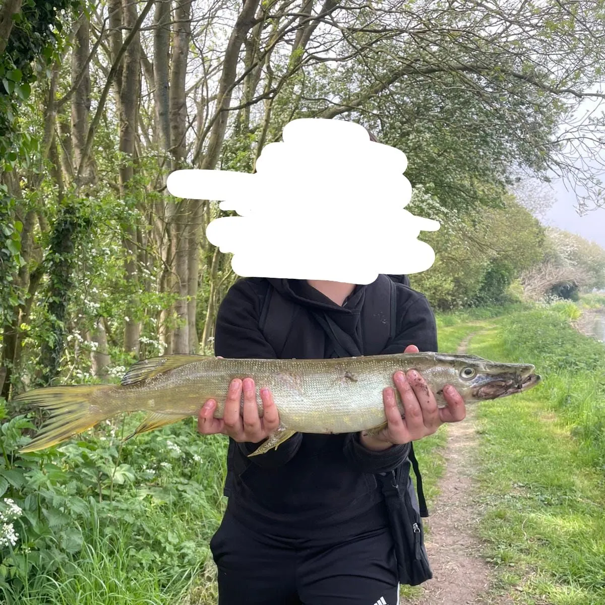 Muskie caught on Fishbrain