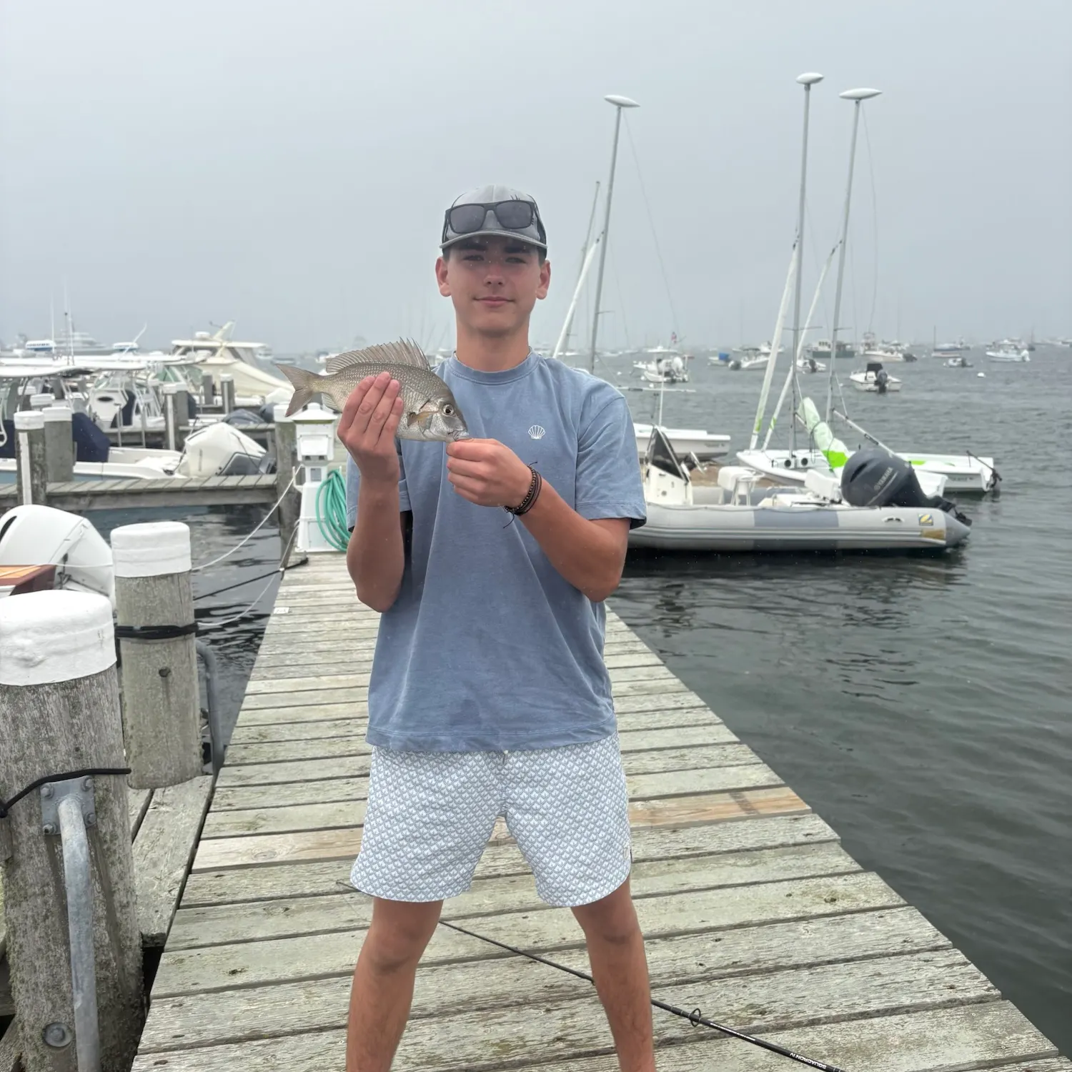 The most recent Silver porgy catches on Fishbrain