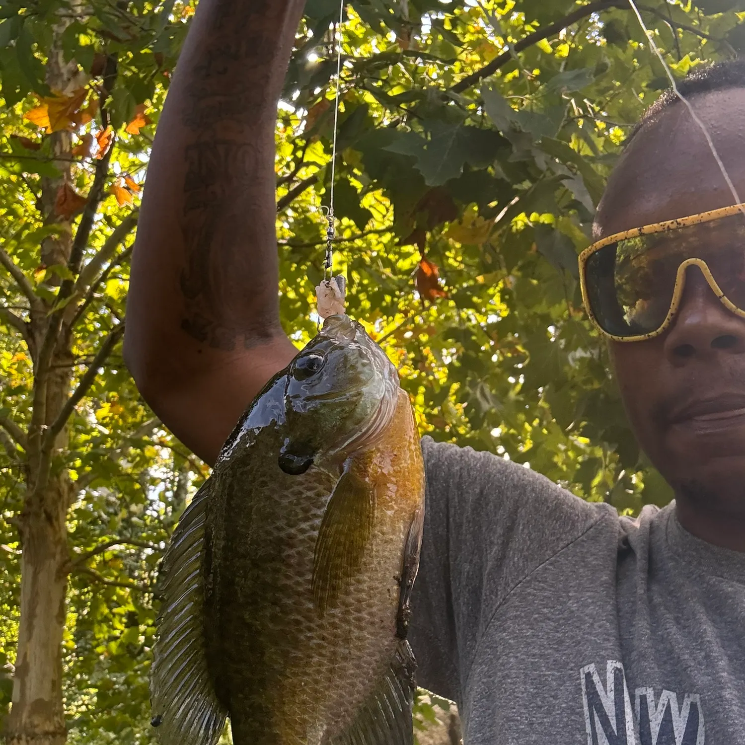 Bluegill caught on Fishbrain
