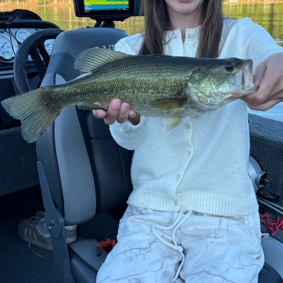Largemouth bass caught on Fishbrain