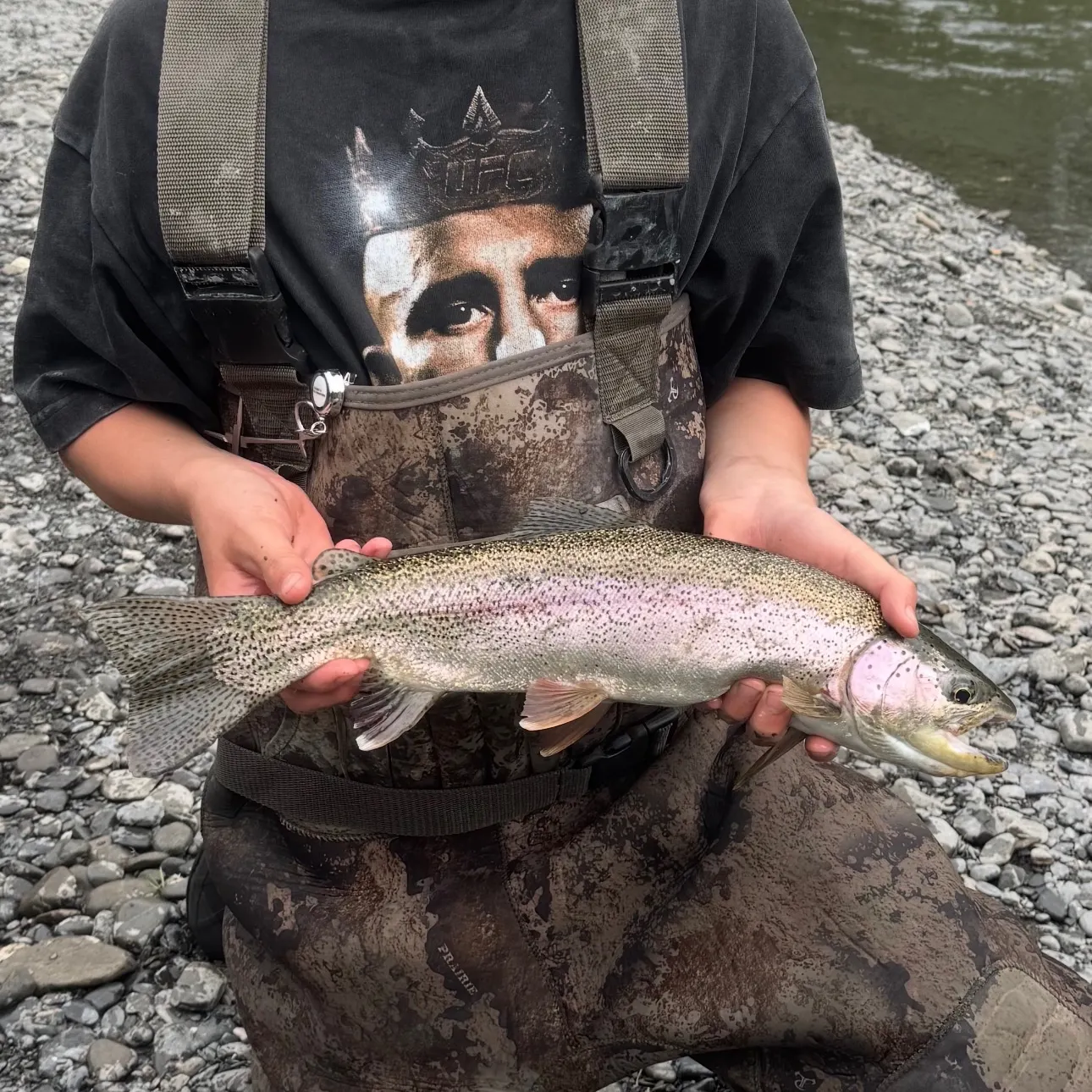 Rainbow trout caught on Fishbrain