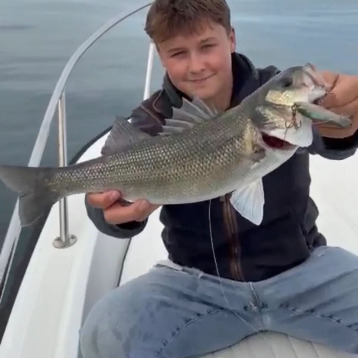 European seabass caught on Fishbrain