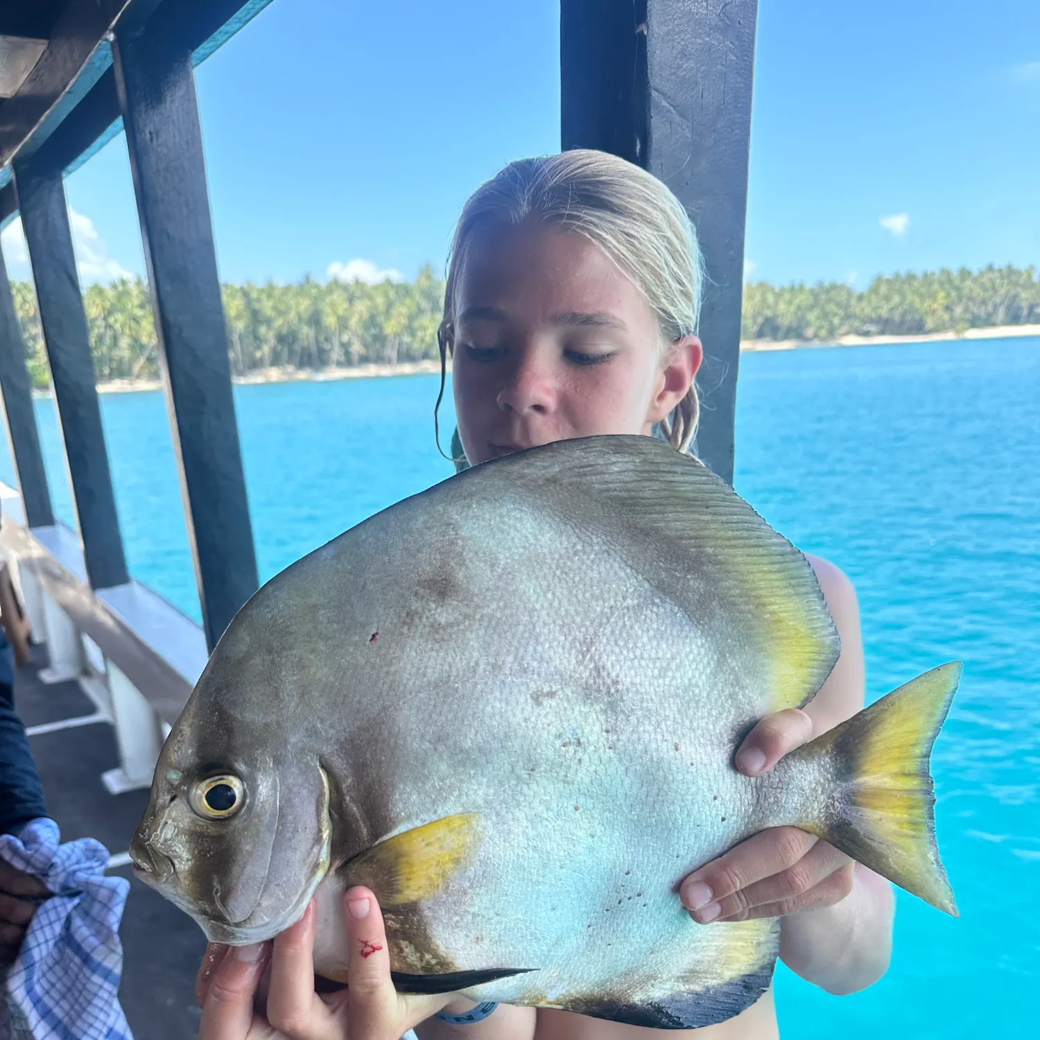 The most recent Spotted sicklefish catches on Fishbrain