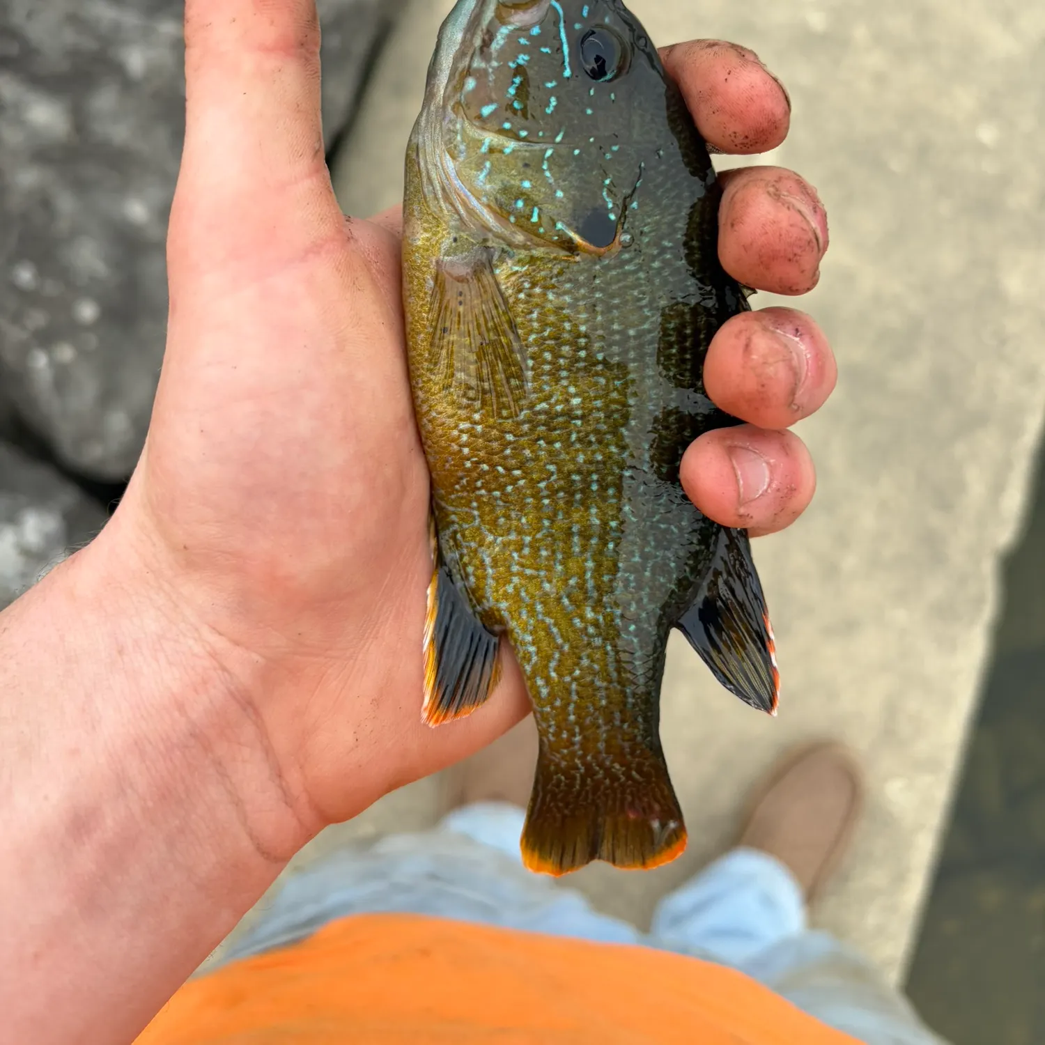 catch