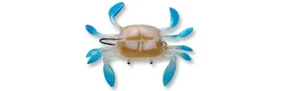 Wildeye Live Swimming Crab