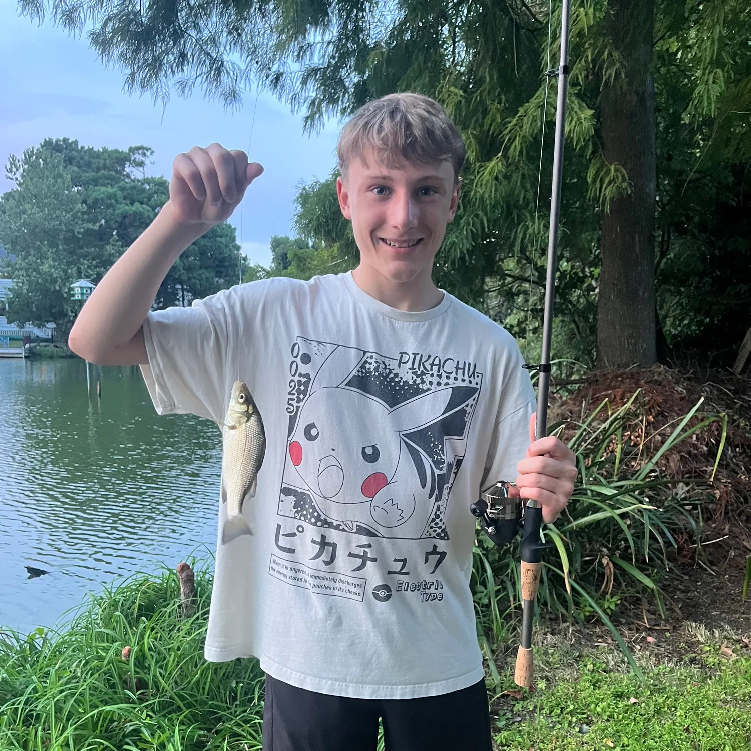 Bluegill caught on Fishbrain