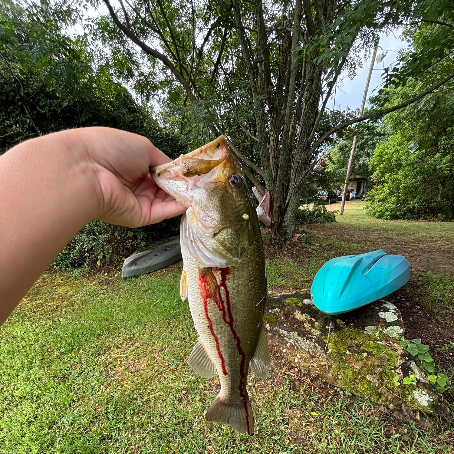 catch