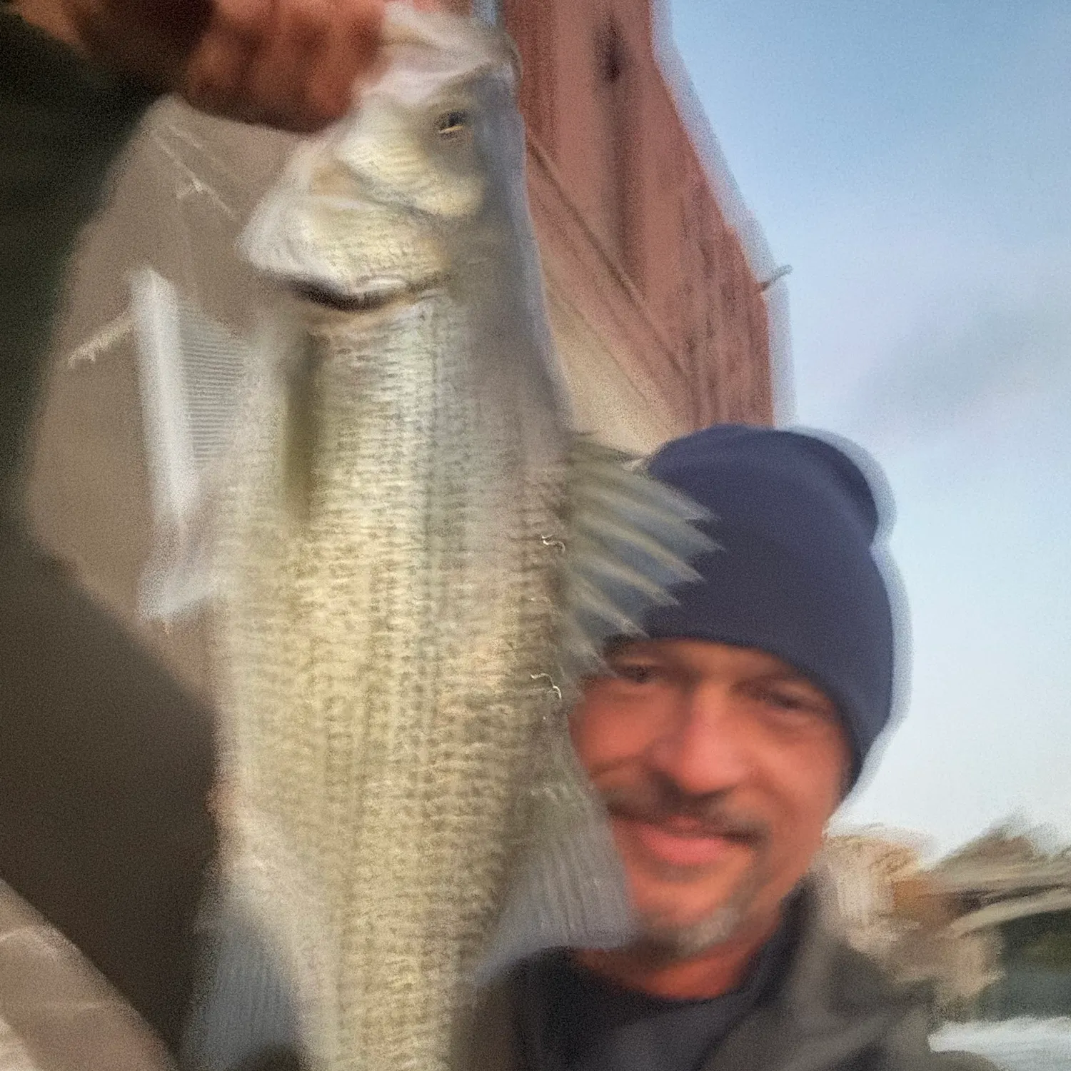 The most recent Wiper catches on Fishbrain