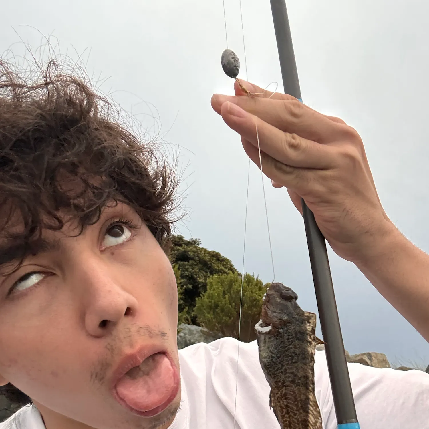 Spotted sand bass caught on Fishbrain