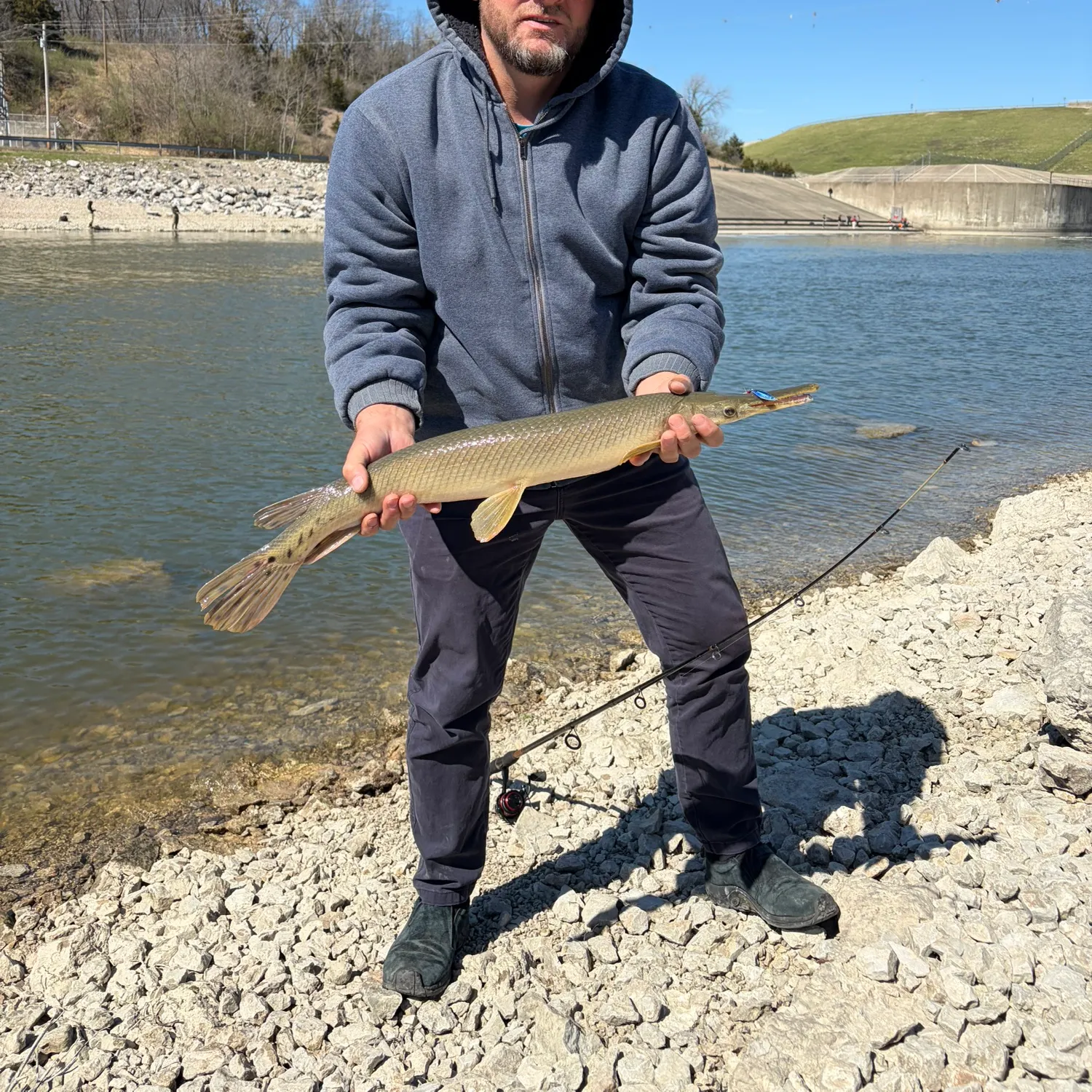 The most recent Shortnose gar catches on Fishbrain