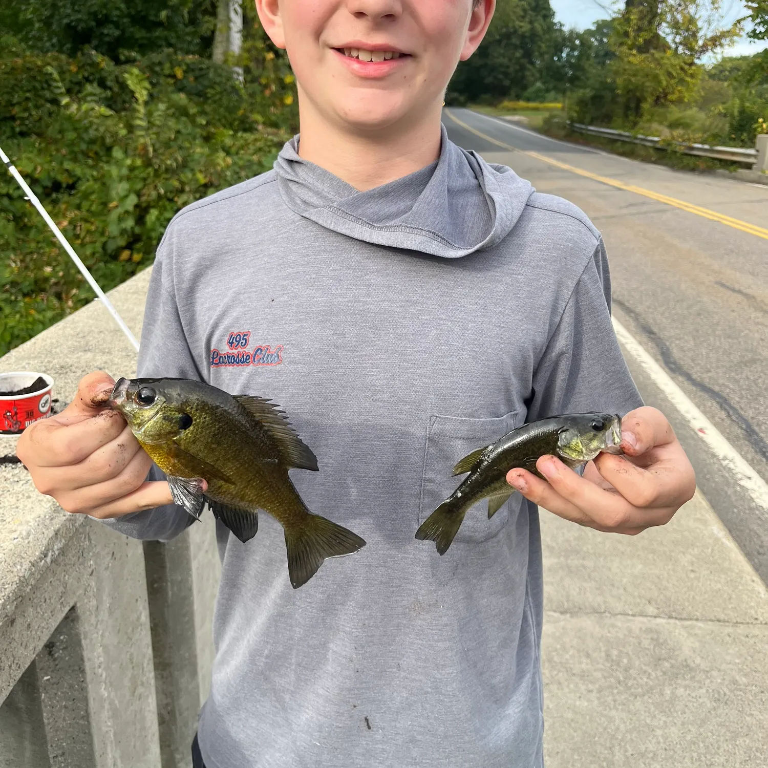 Bluegill caught on Fishbrain