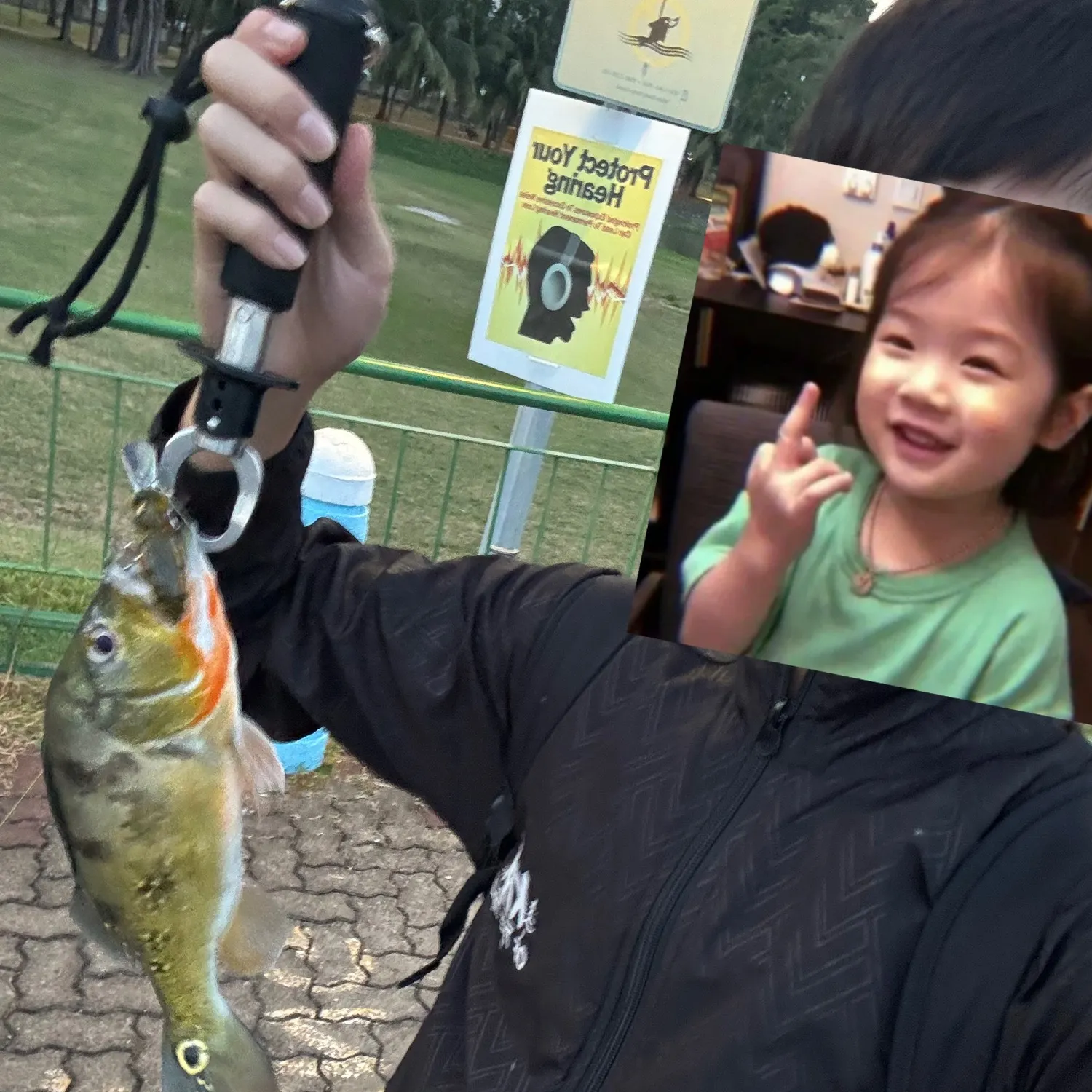 Butterfly peacock bass caught on Fishbrain