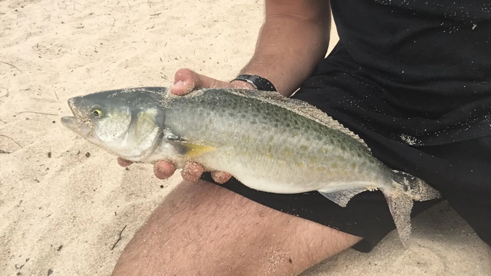 Post image from Fents