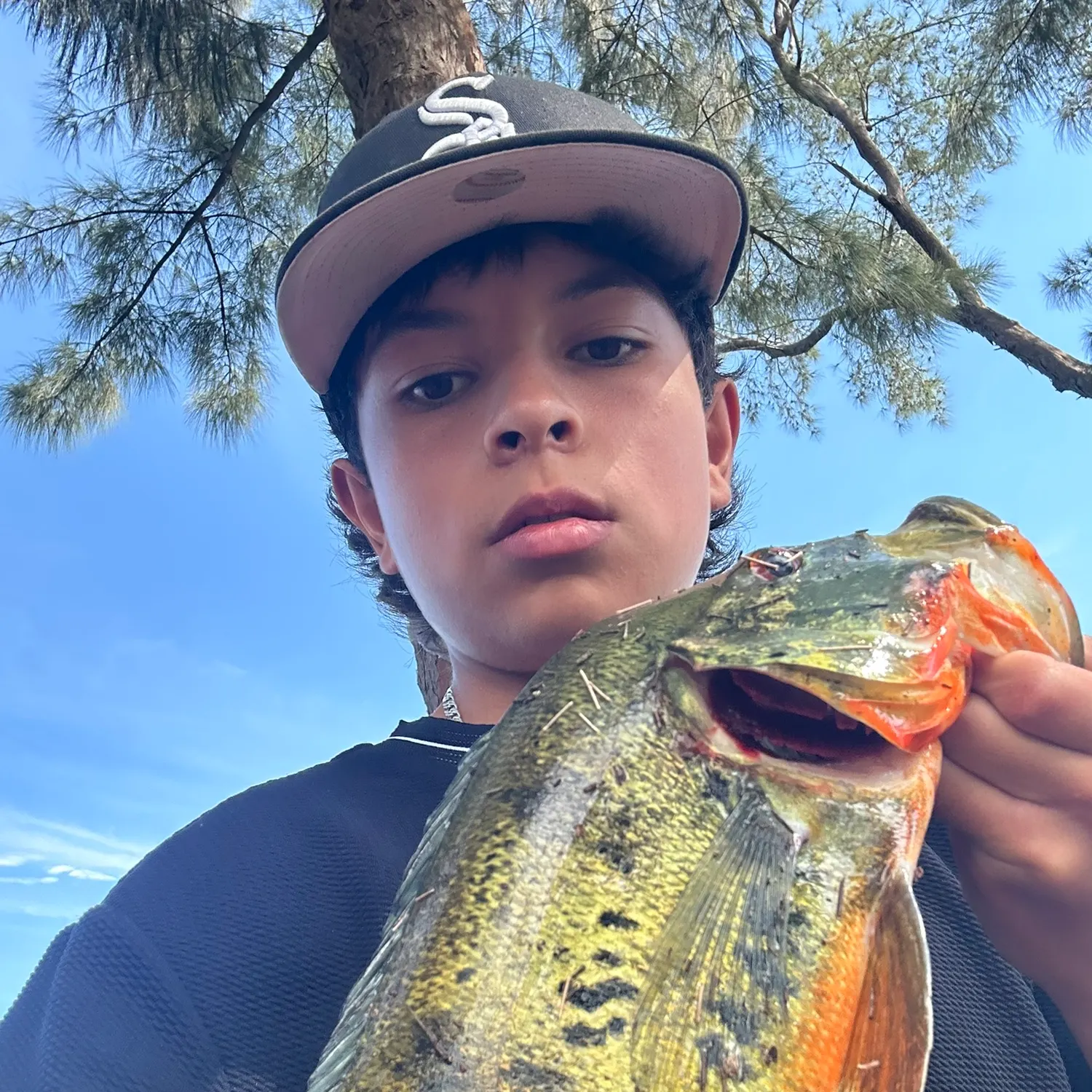 Butterfly peacock bass caught on Fishbrain
