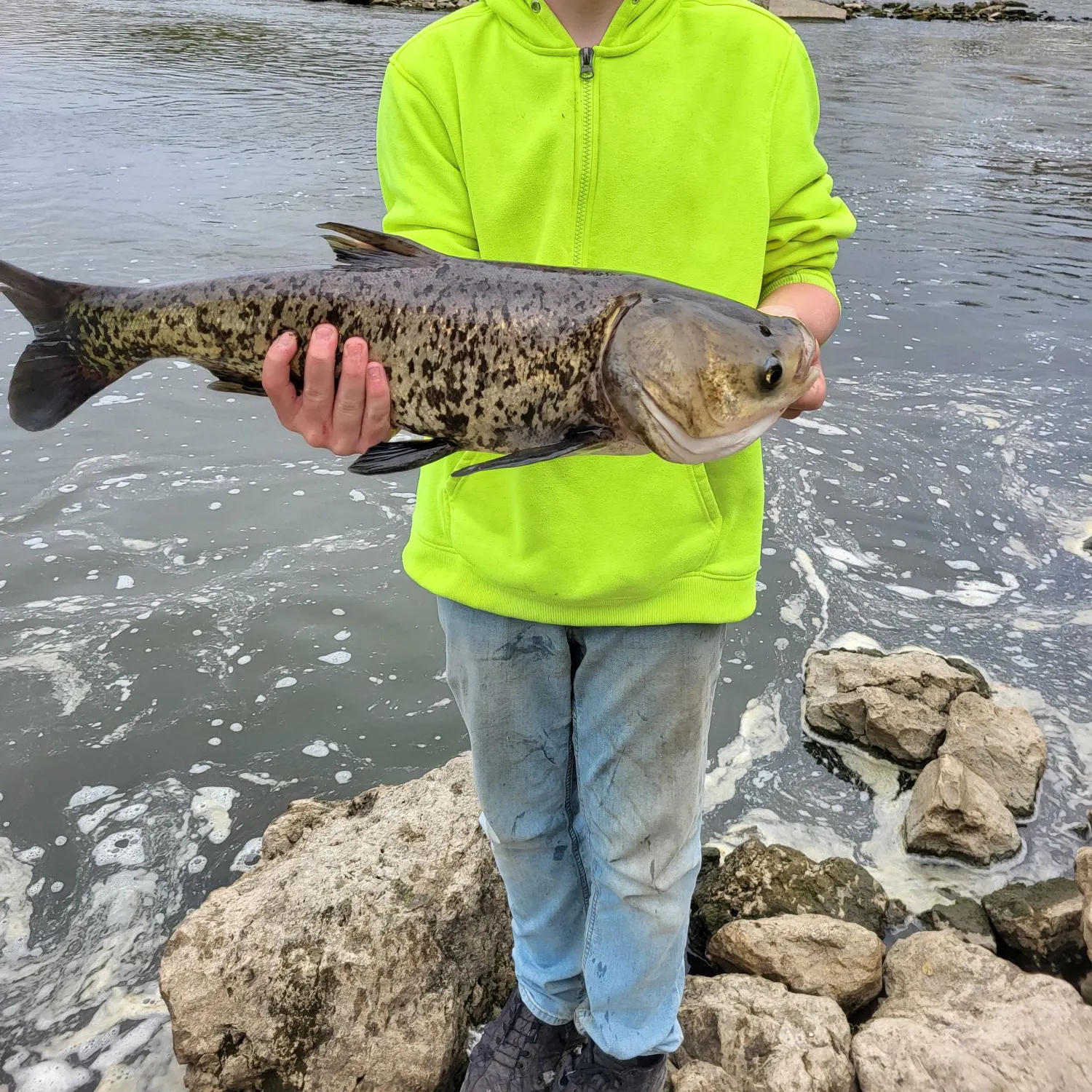 The most recent Bighead carp catches on Fishbrain
