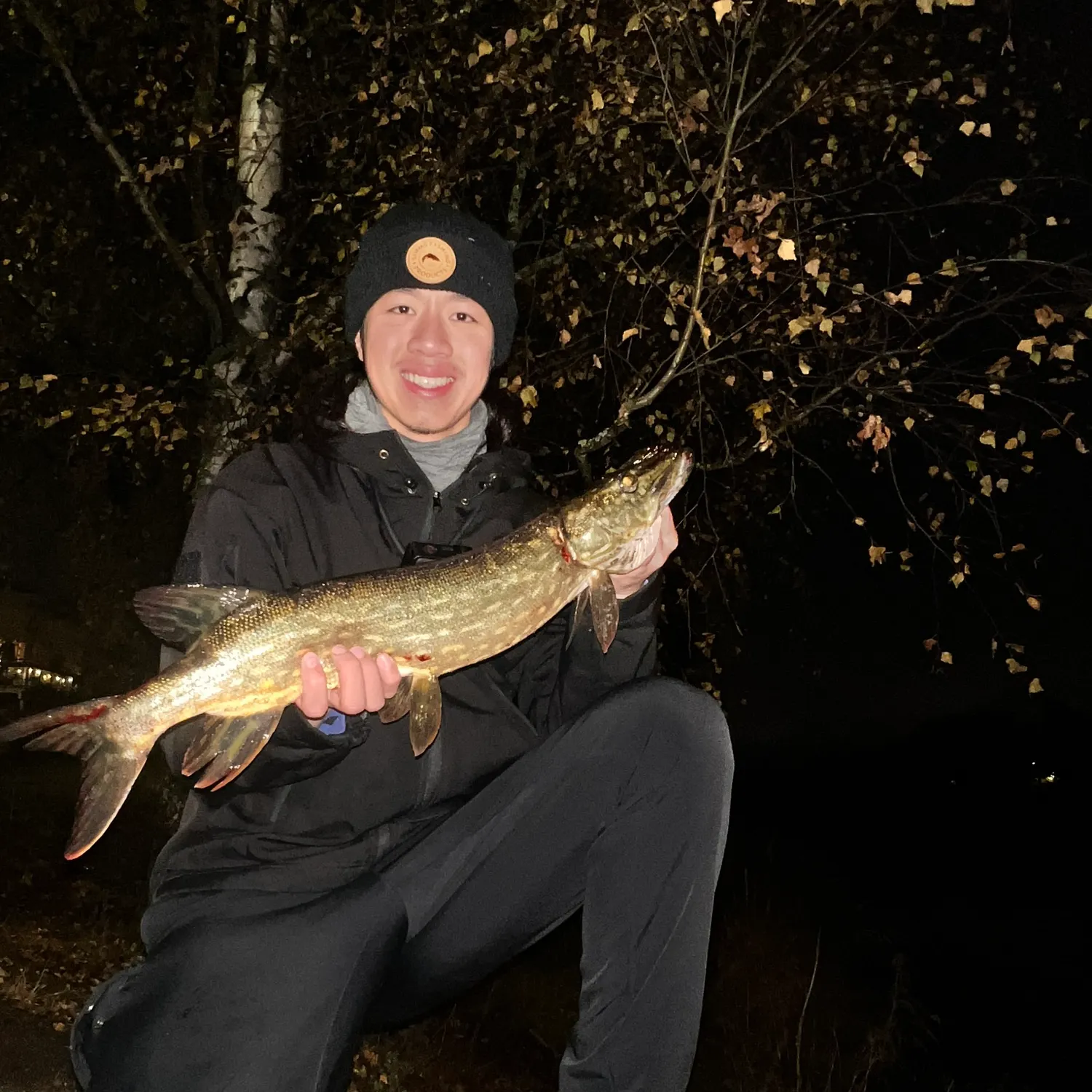 Northern pike caught on Fishbrain