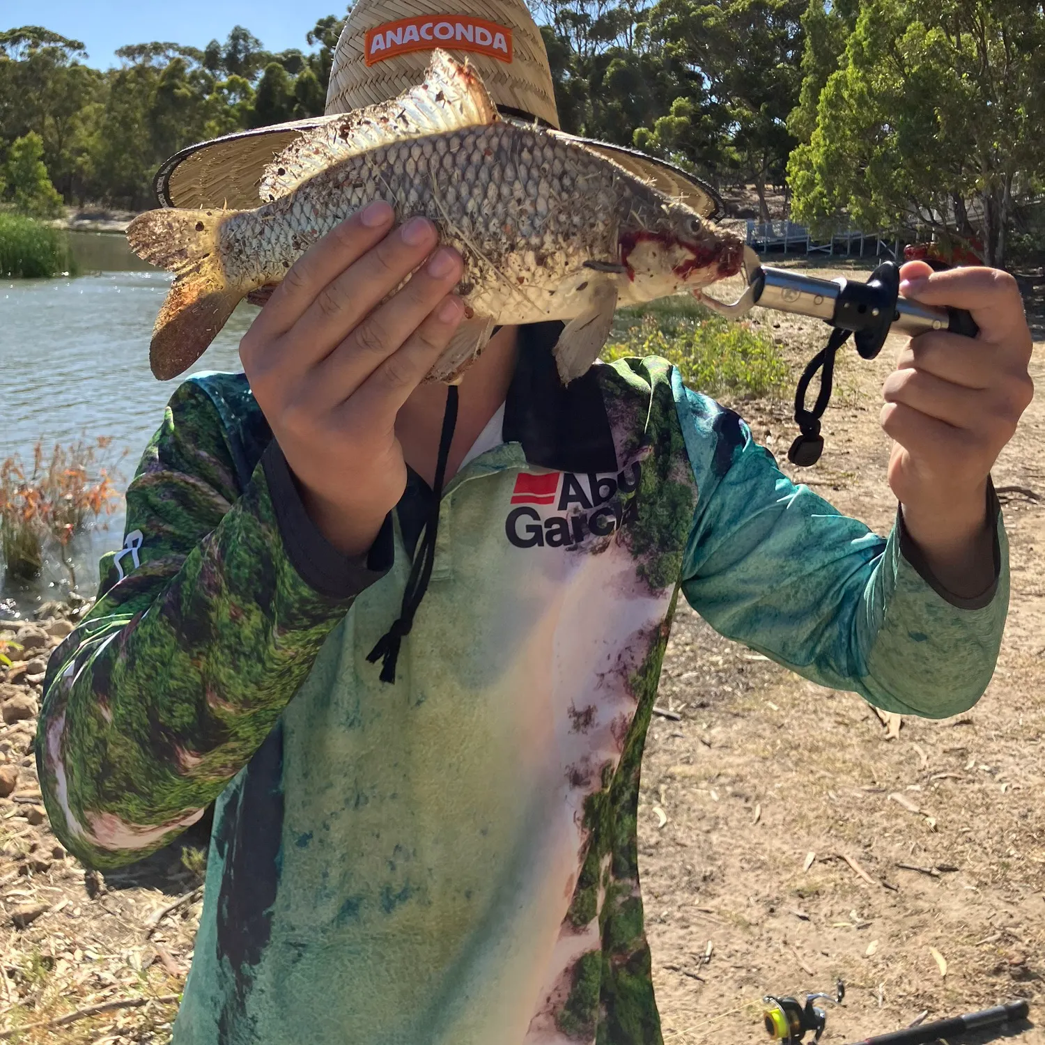 The most recent Common carp catches on Fishbrain