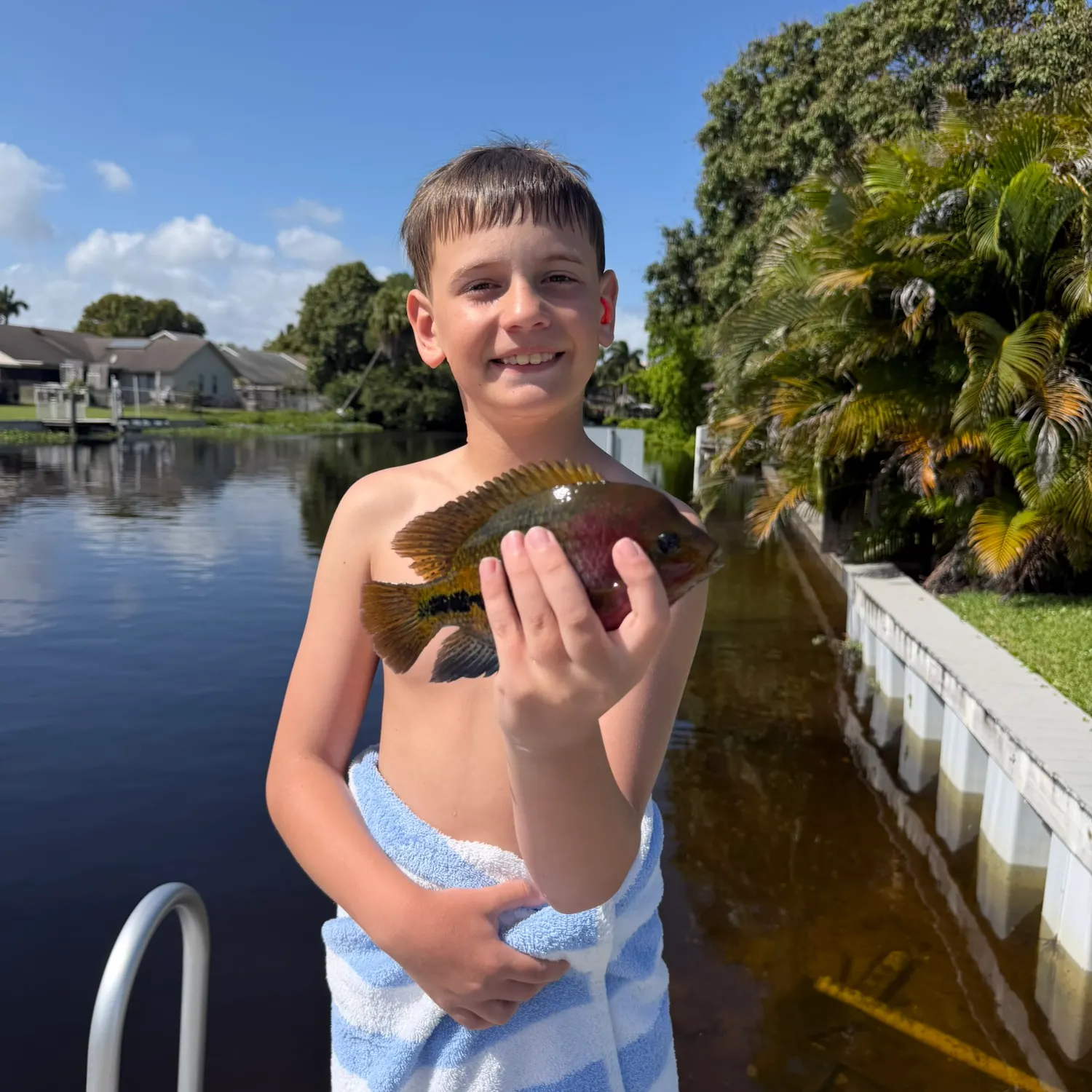 The most recent Redhead cichlid catches on Fishbrain