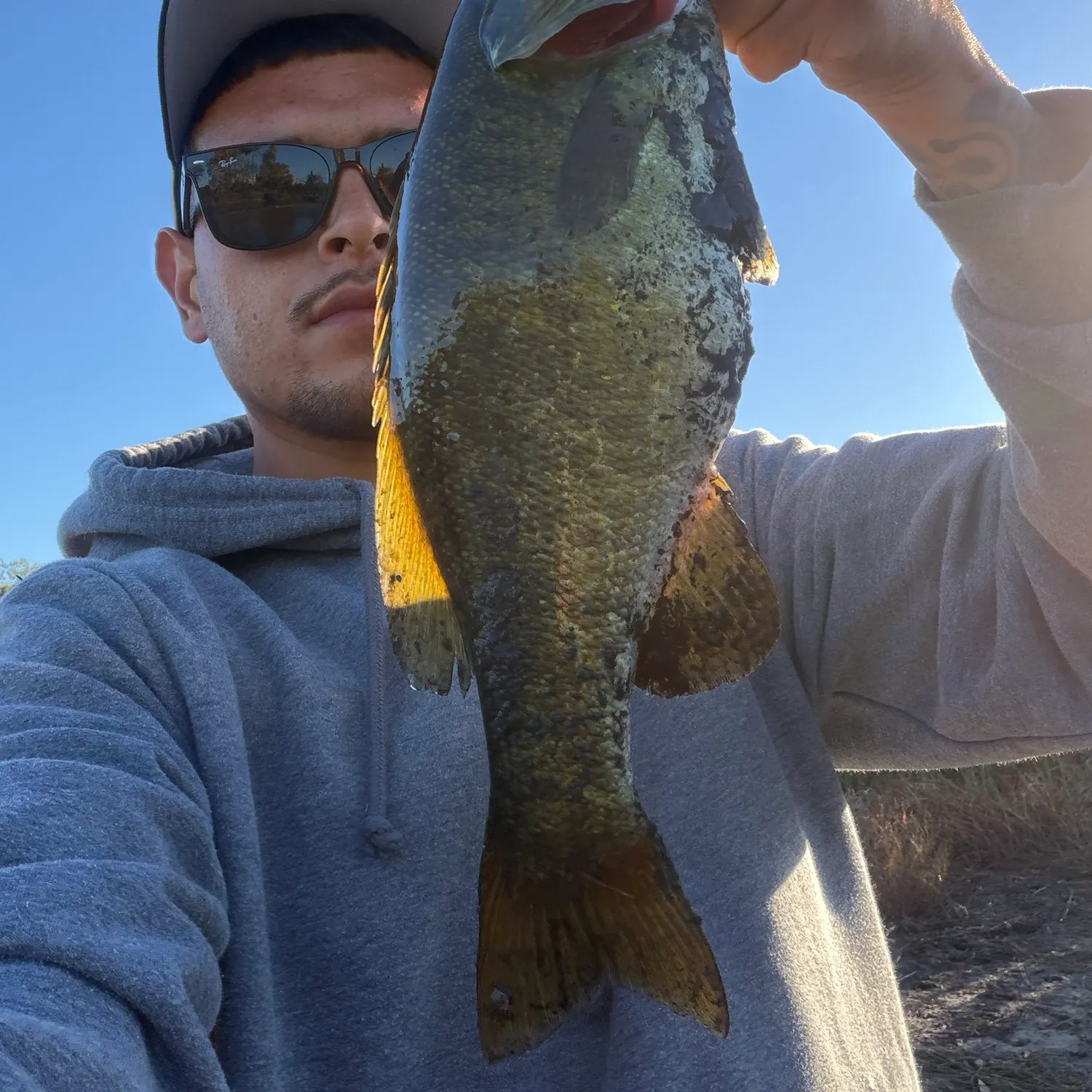 Smallmouth bass caught on Fishbrain