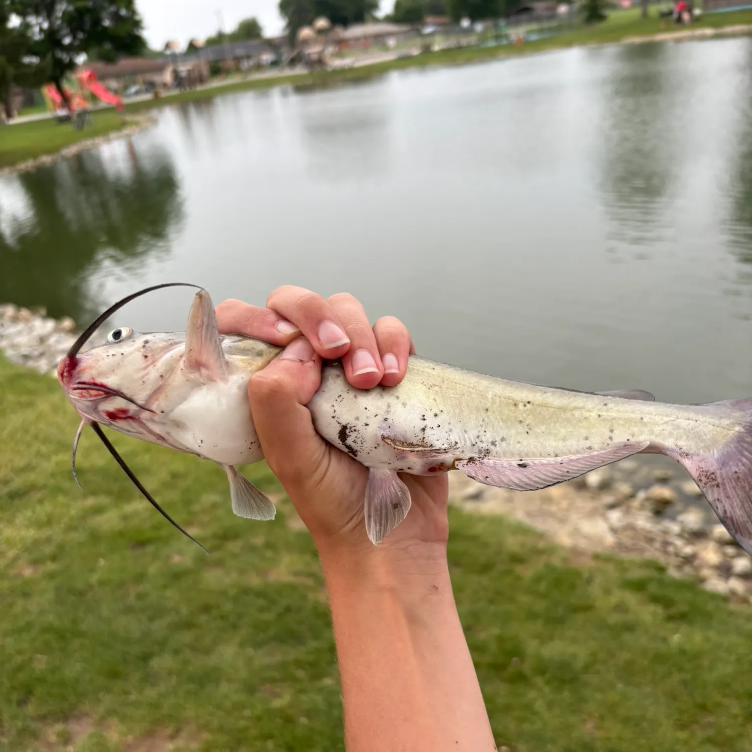 catch
