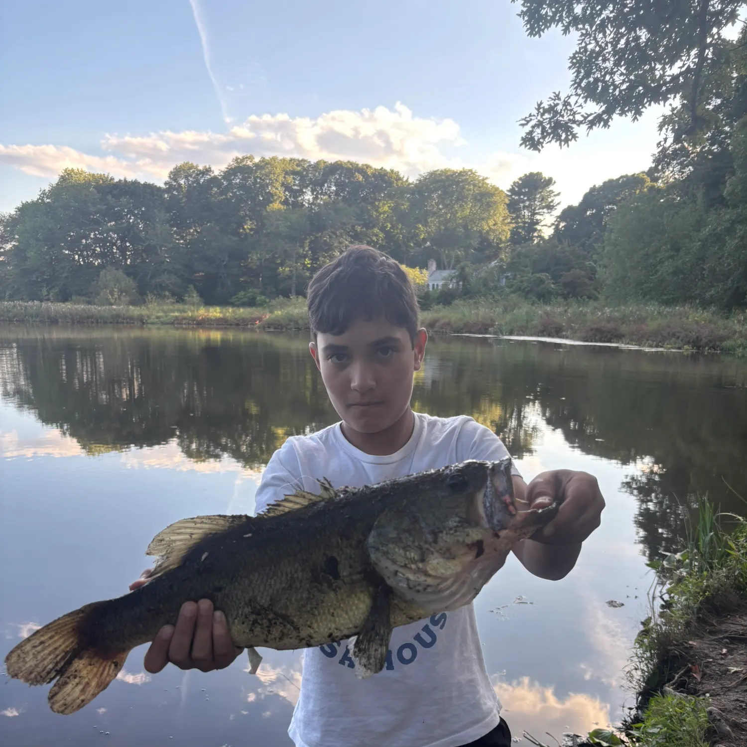 Largemouth bass caught on Fishbrain