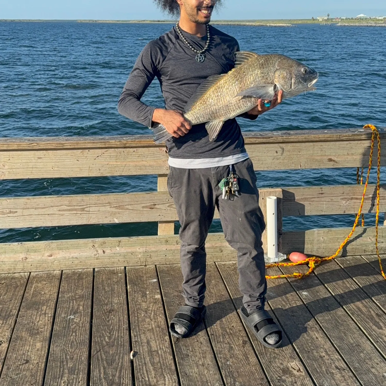 Black drum caught on Fishbrain