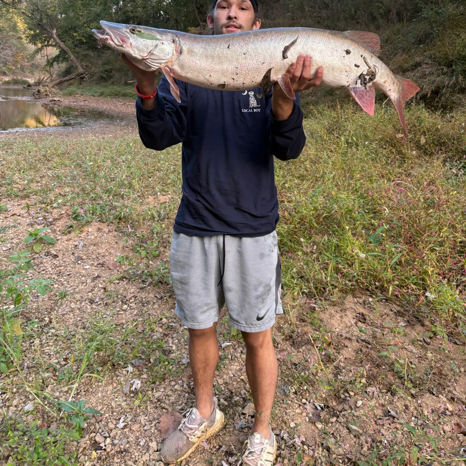 The most recent Muskie catches on Fishbrain