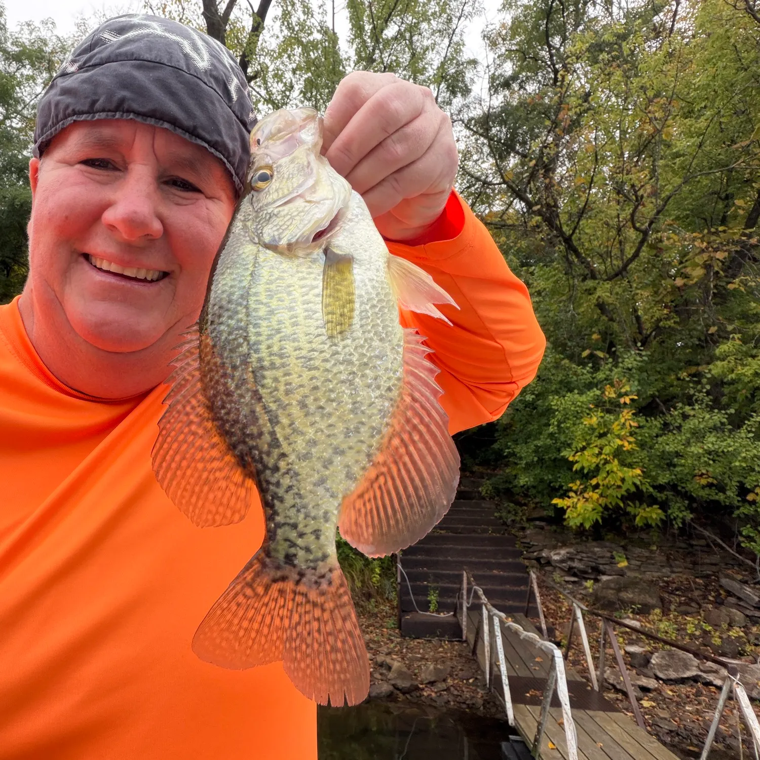 Black crappie caught on Fishbrain