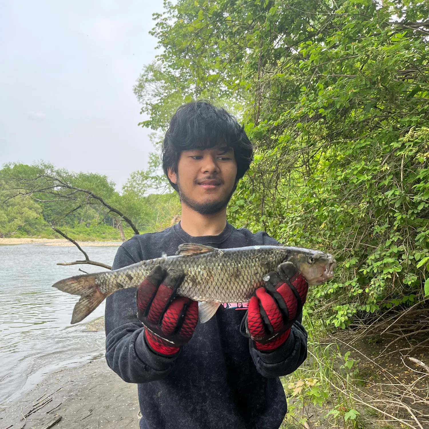 most liked catch image