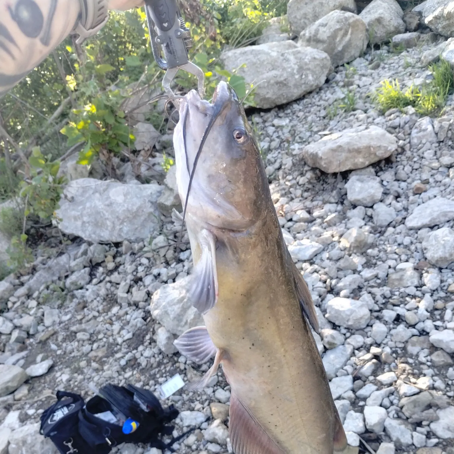 catch