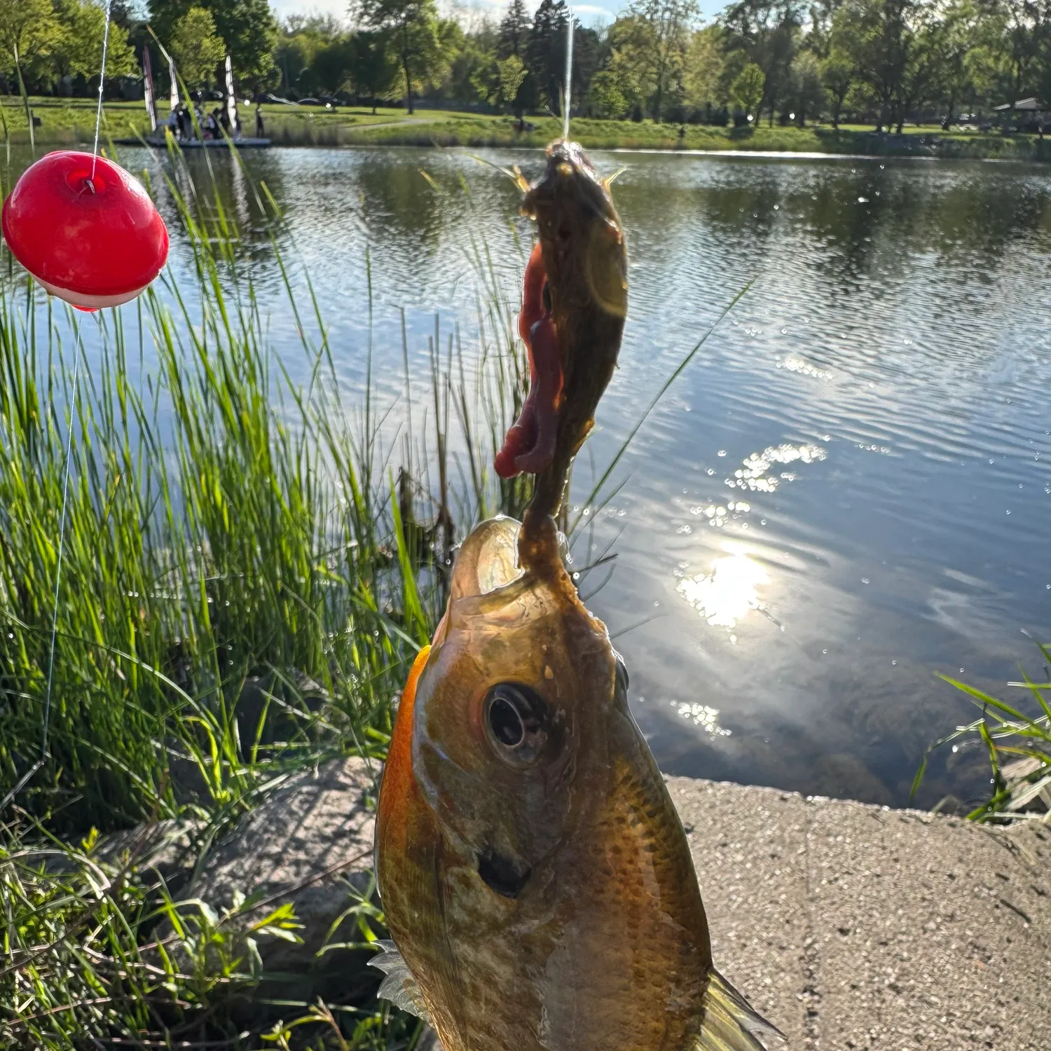 catch