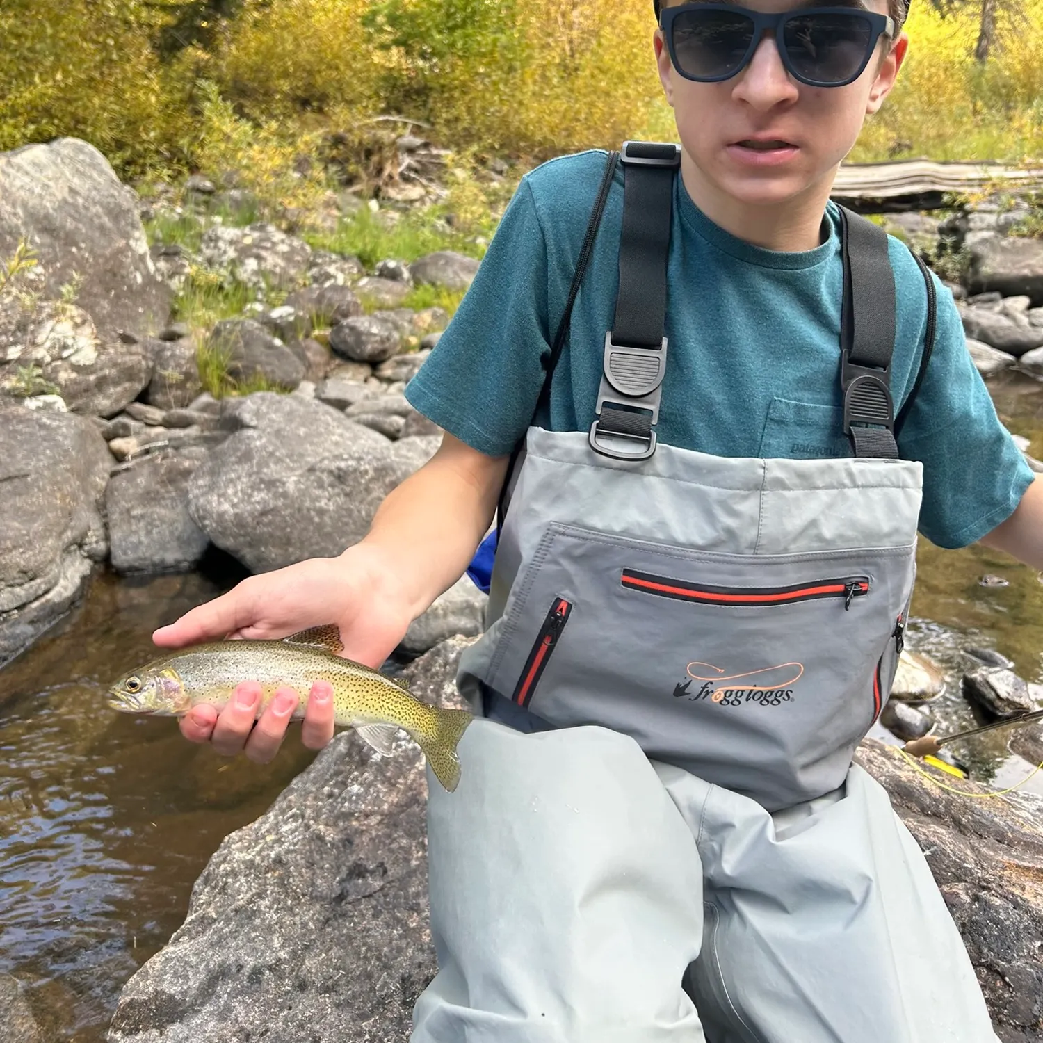 The most recent Westslope cutthroat trout catches on Fishbrain
