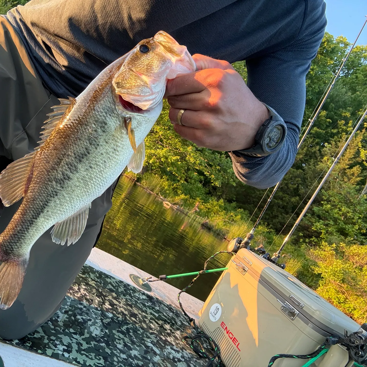 catch