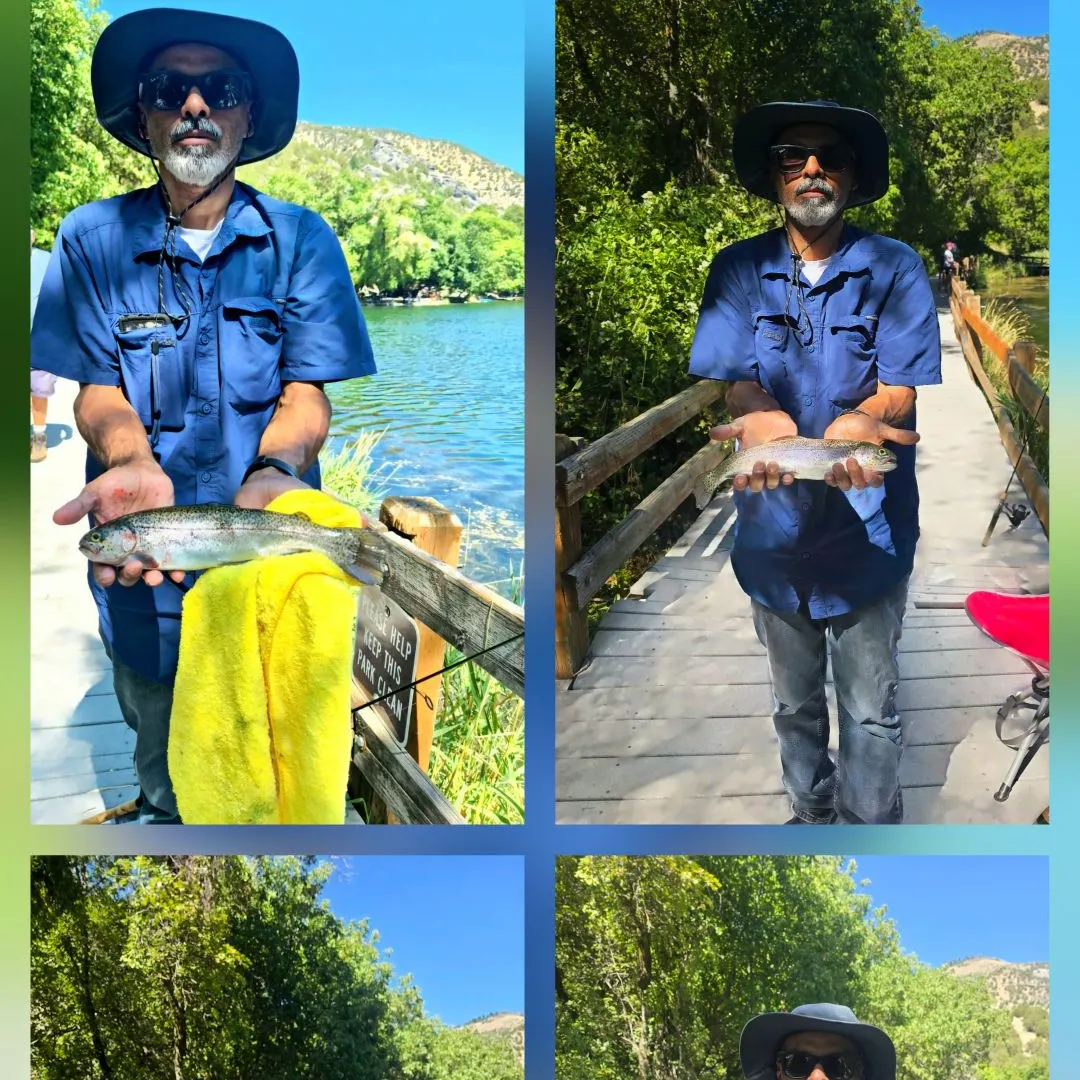 Rainbow trout caught on Fishbrain