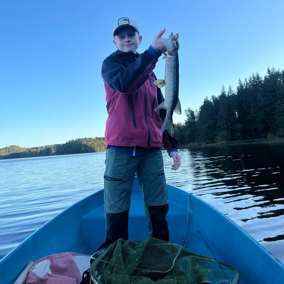 Northern pike caught on Fishbrain