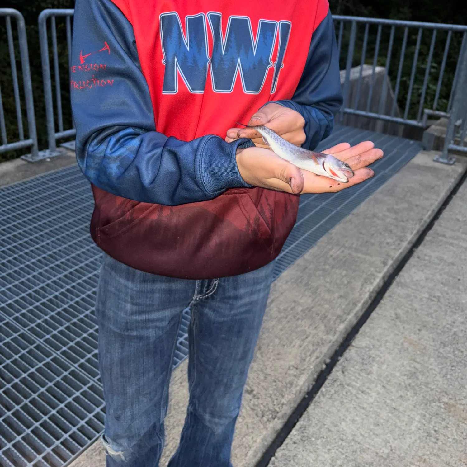 Cutthroat trout caught on Fishbrain