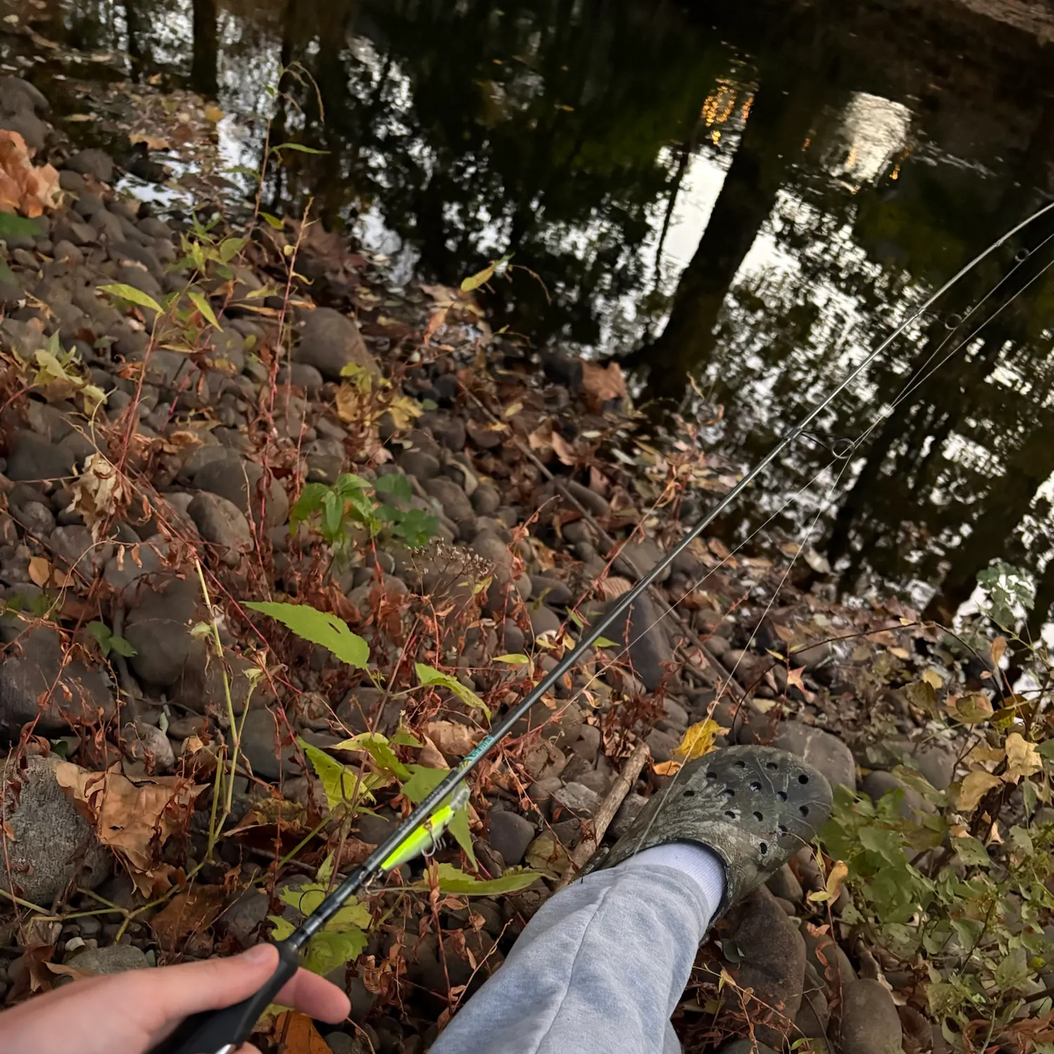 Fish caught on Fishbrain
