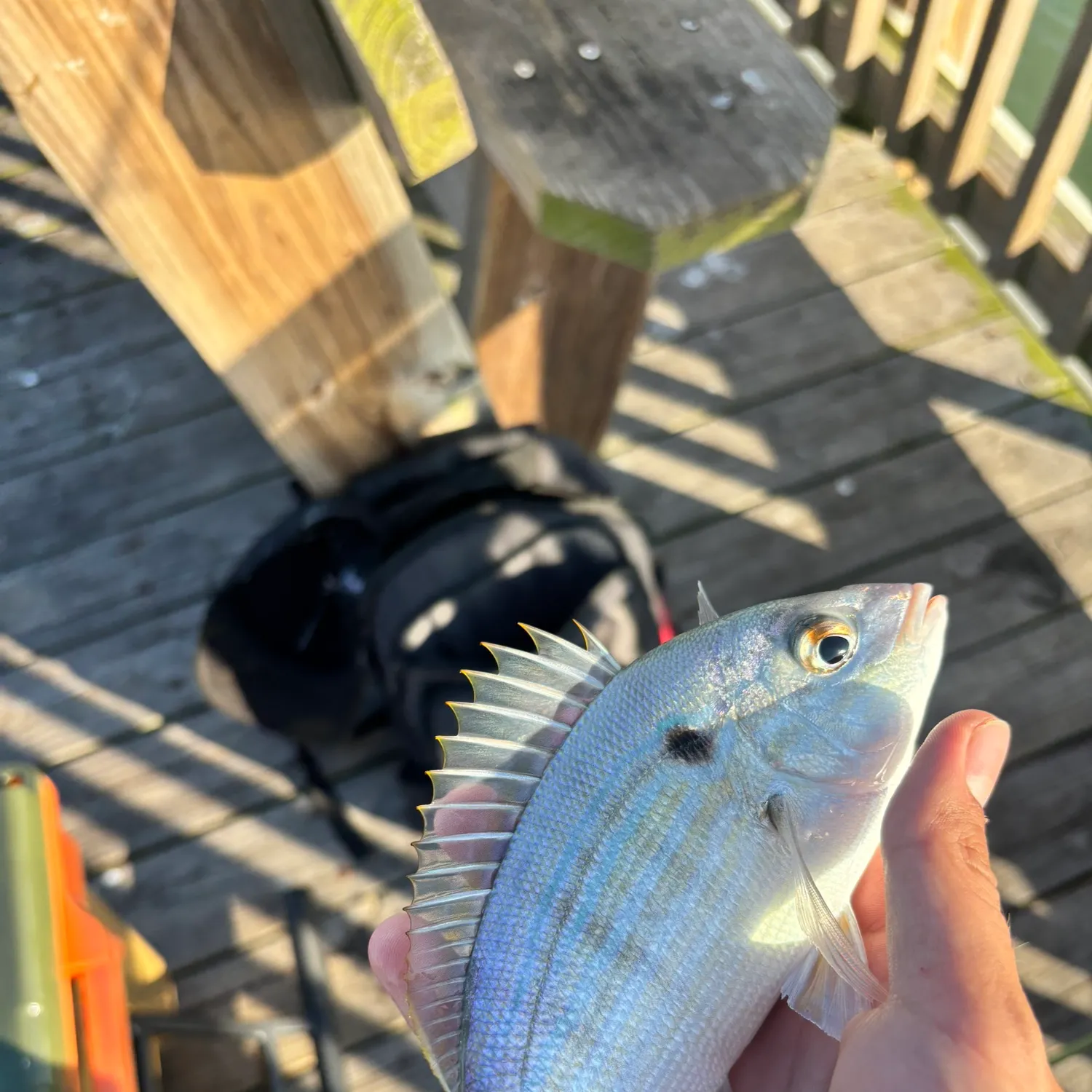 catch
